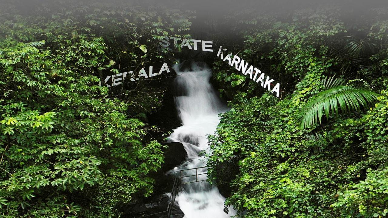 Holistic Stay Eco-Resort & Ayurvedic Retreat Paithalmala Exteriér fotografie