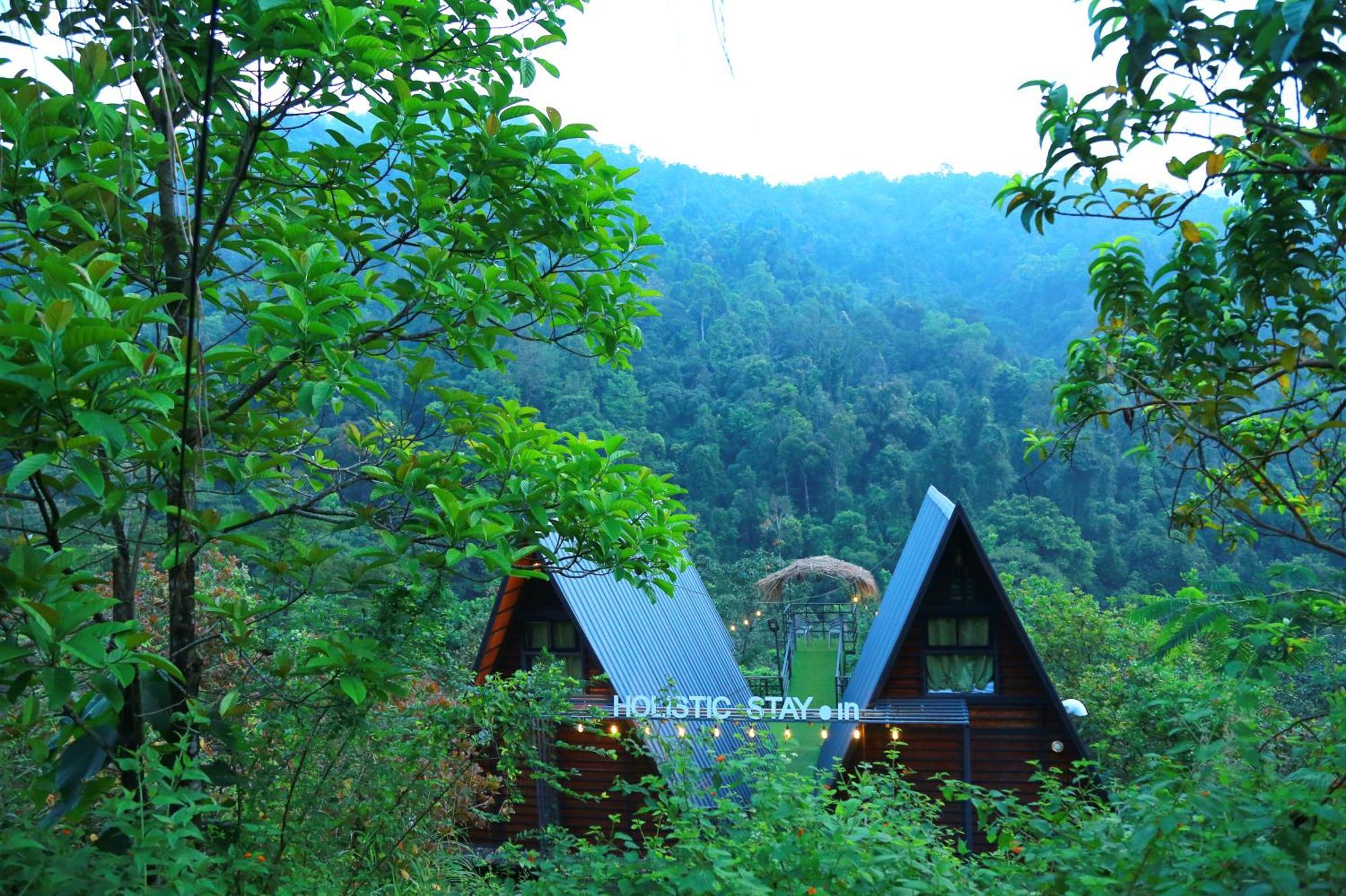 Holistic Stay Eco-Resort & Ayurvedic Retreat Paithalmala Exteriér fotografie