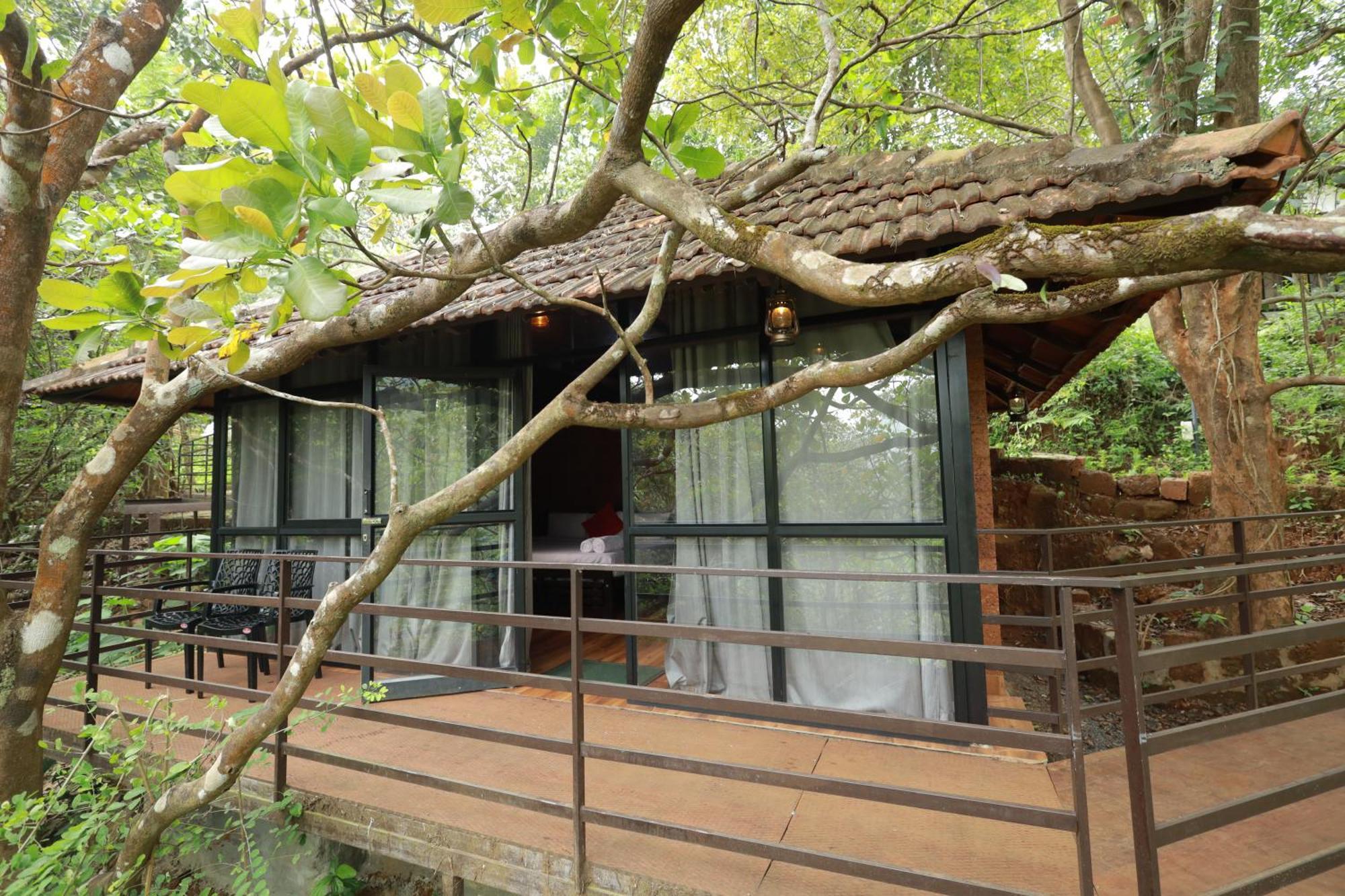 Holistic Stay Eco-Resort & Ayurvedic Retreat Paithalmala Exteriér fotografie
