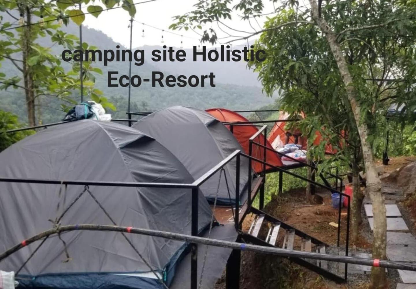 Holistic Stay Eco-Resort & Ayurvedic Retreat Paithalmala Exteriér fotografie